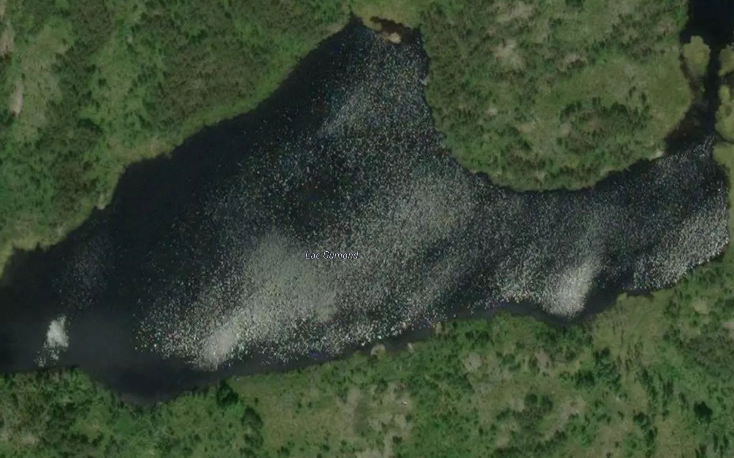 Lac Gumond