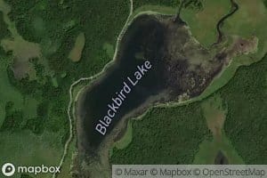 Blackbird Lake