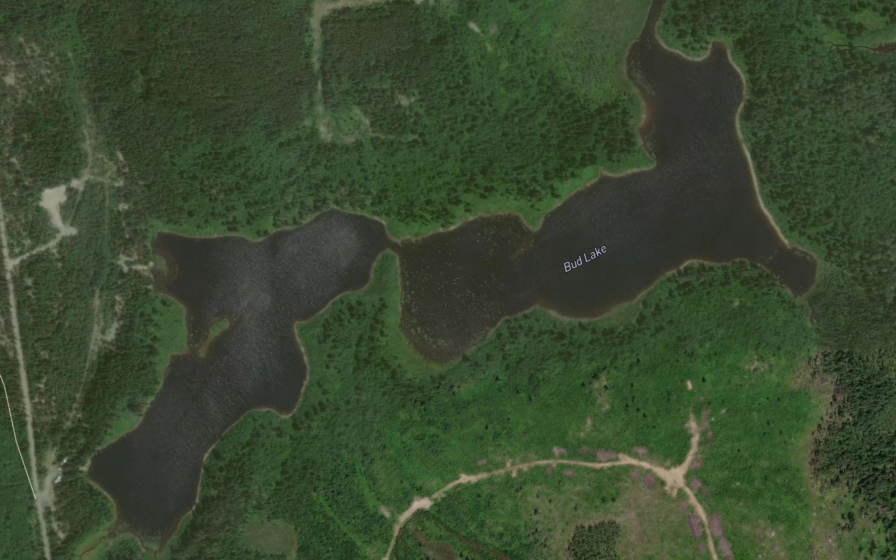 Satellite map of the Bud Lake