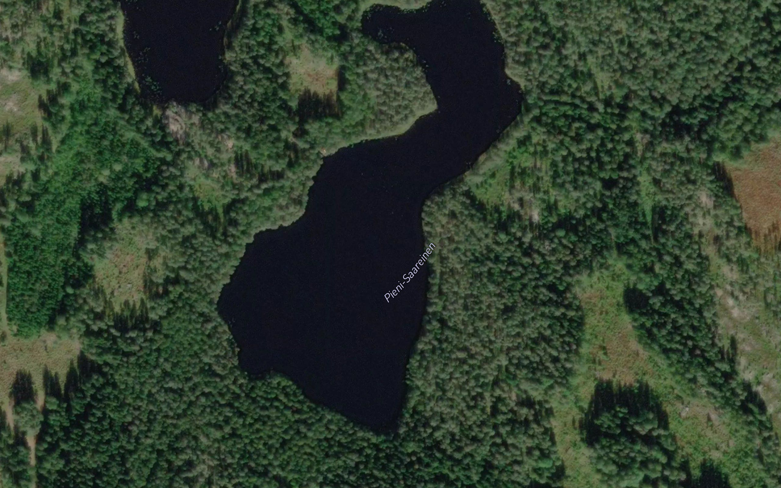 Pieni-Saareinen