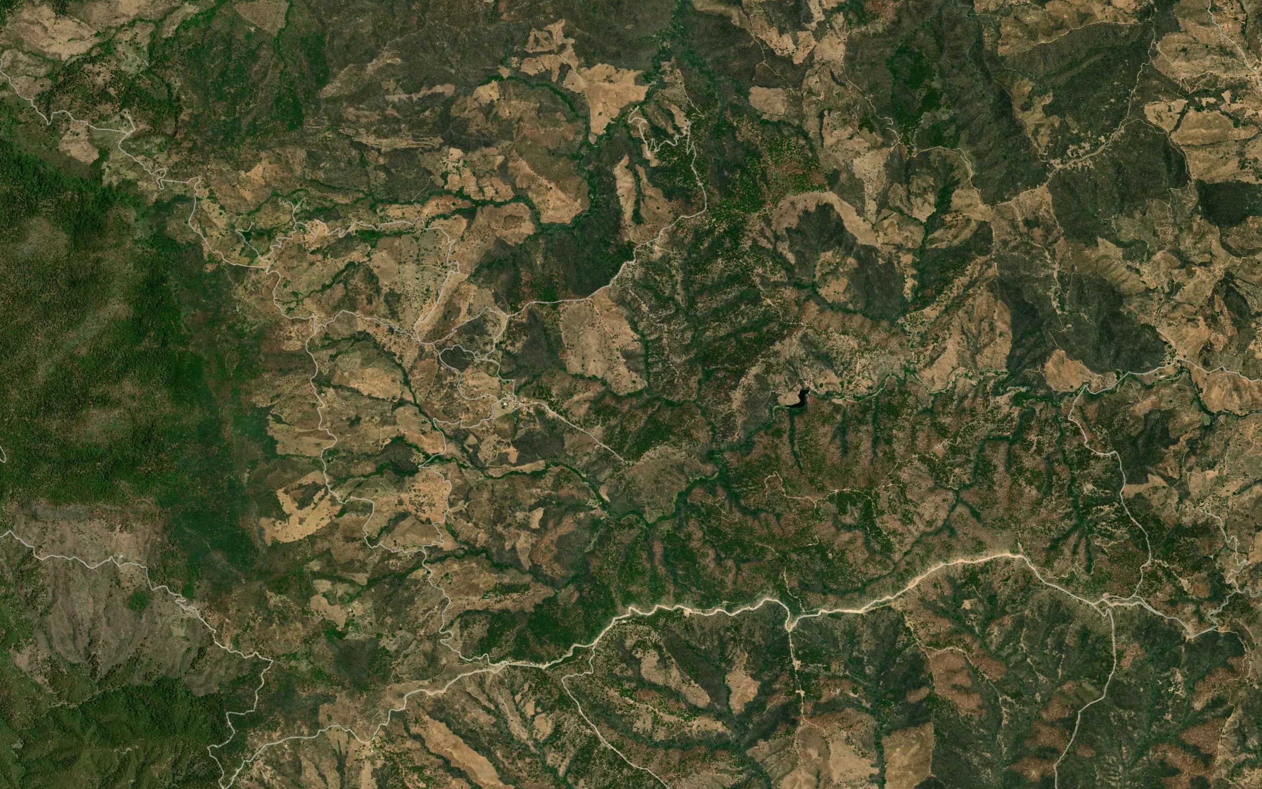 Barranca Guayabos Morados