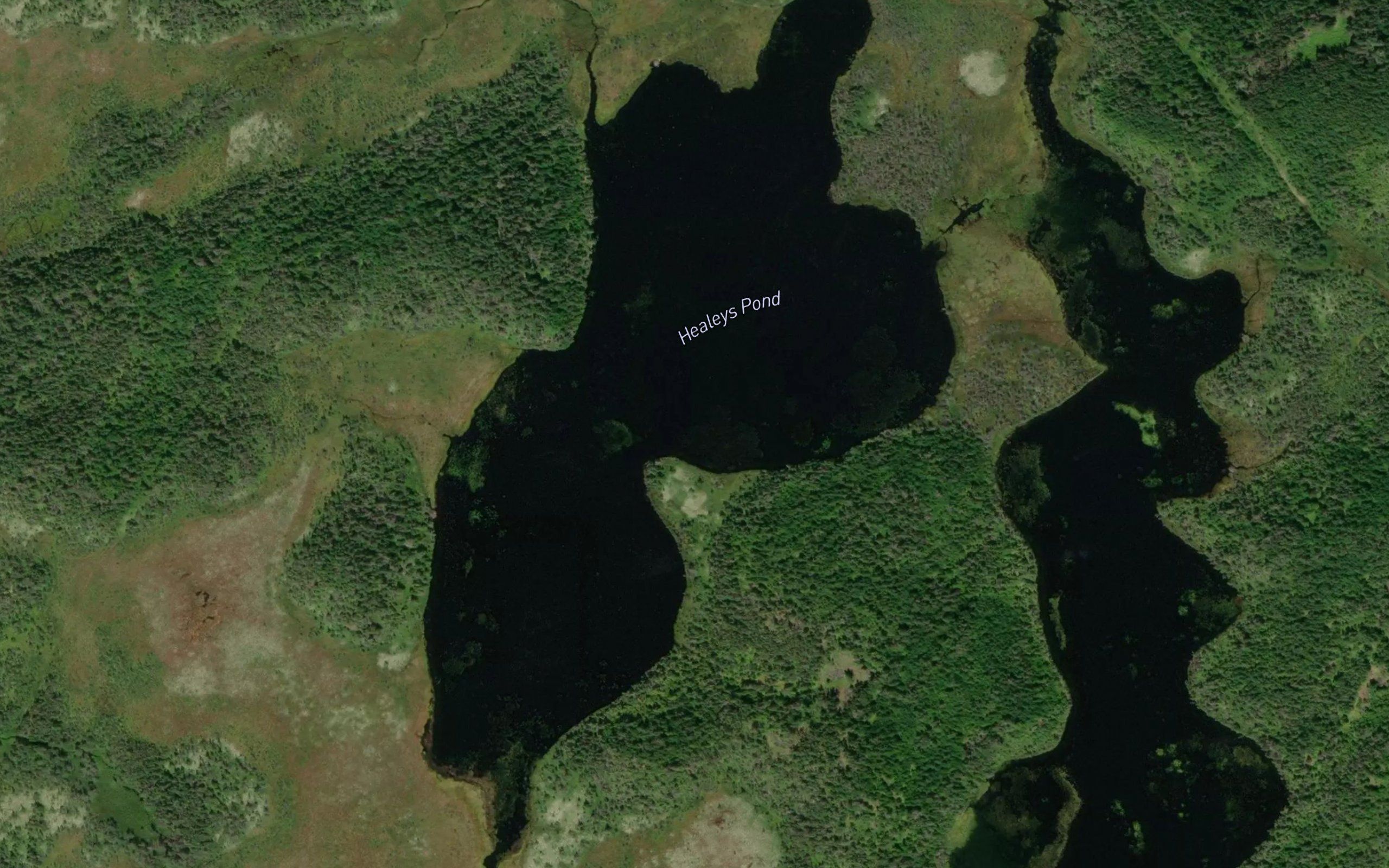 Healeys Pond