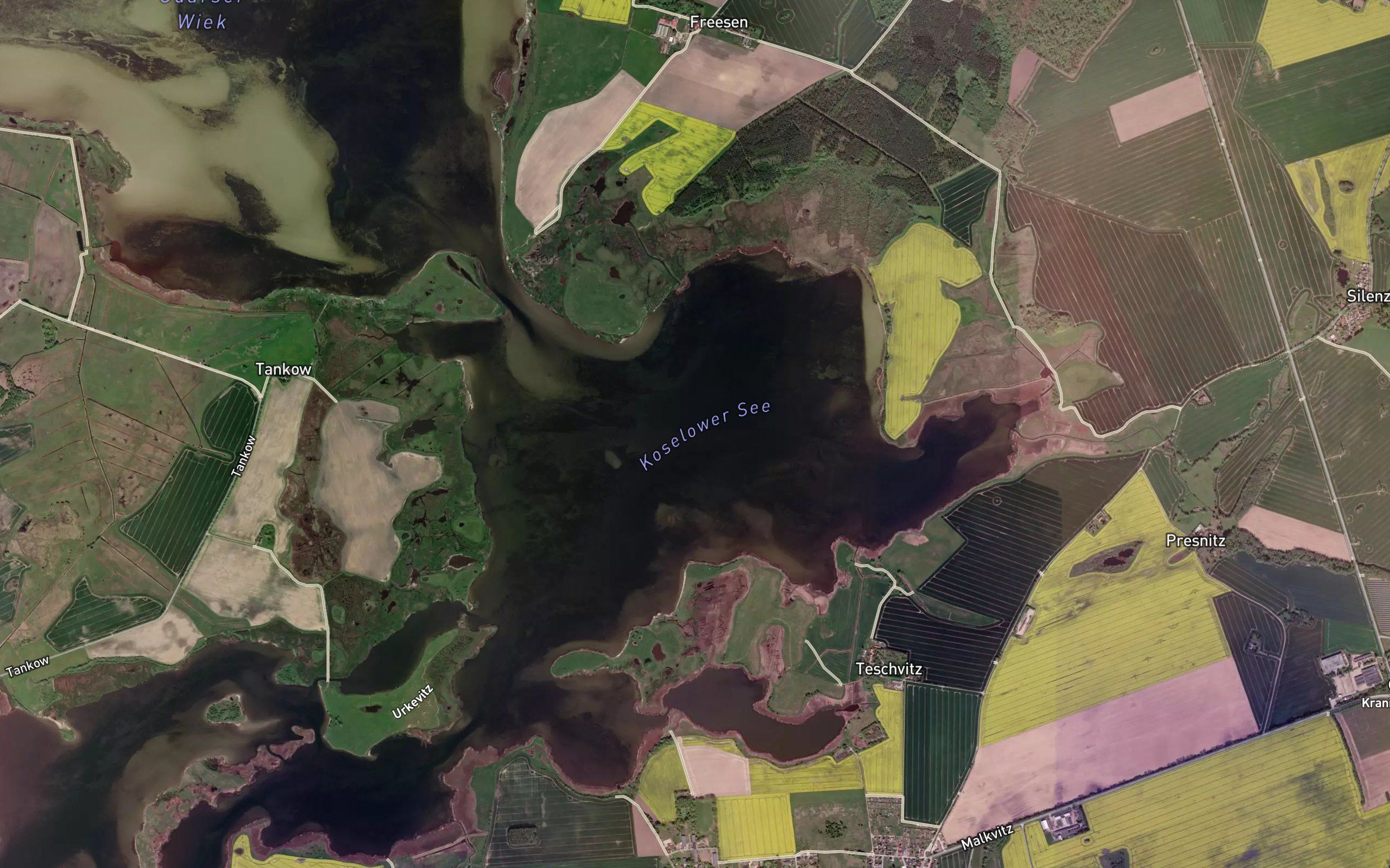 Koselower See