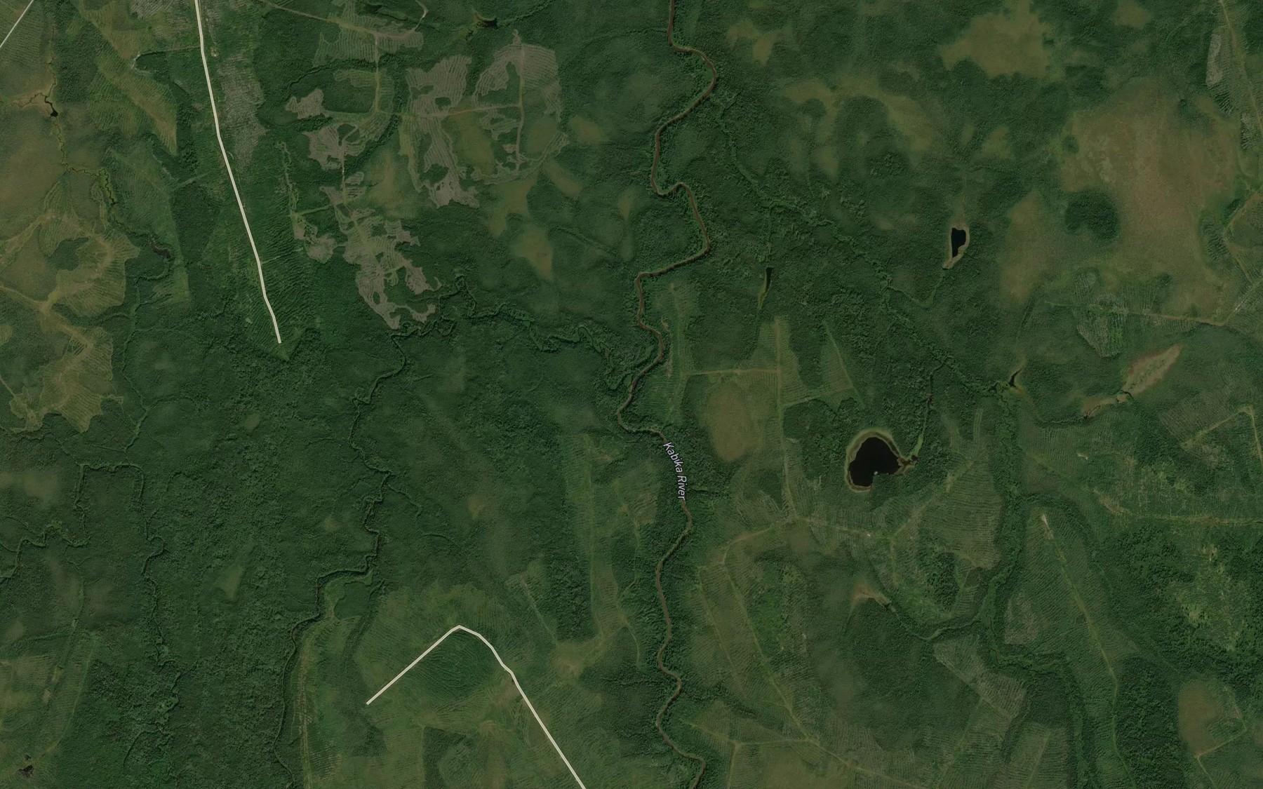Satellite map of the Tomlinson Creek