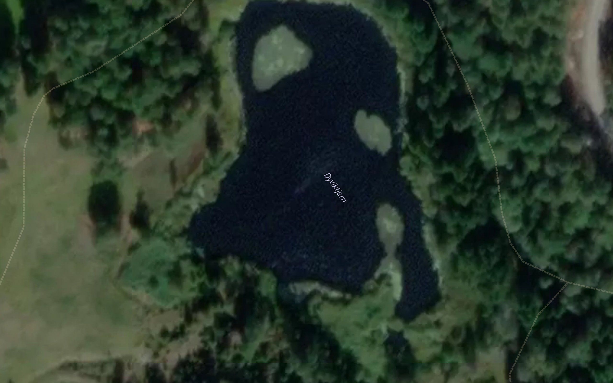 Dyviktjern
