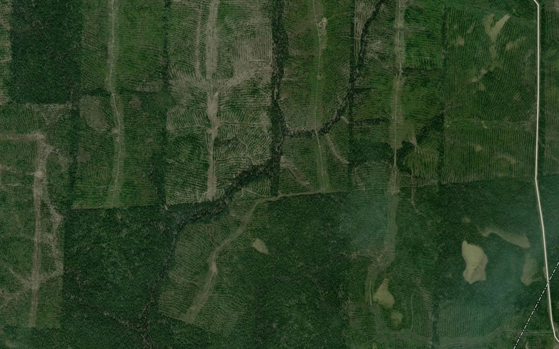 Satellite map of the Mezhevoy