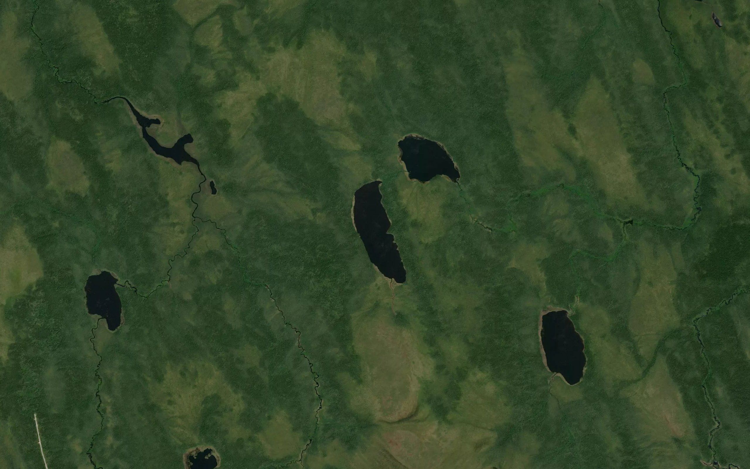 Dobson Lake