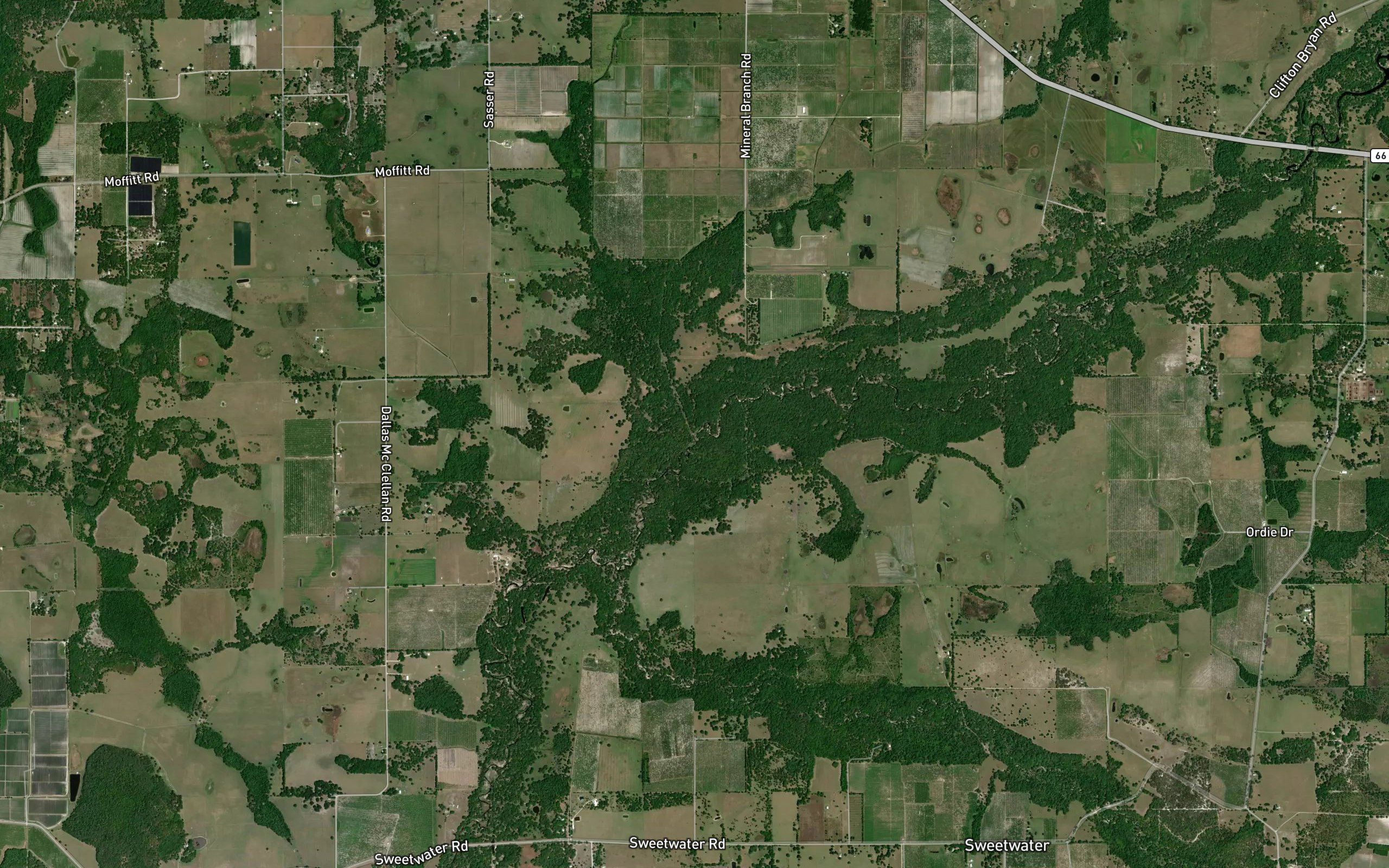 Jackson Branch