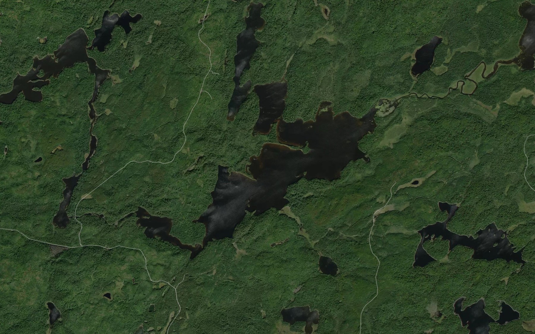 Satellite map of the Union Lake