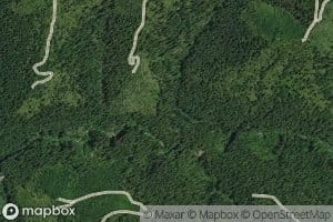 North Fork Bluff Creek