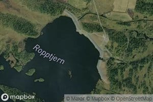 Nedre Ropptjornet