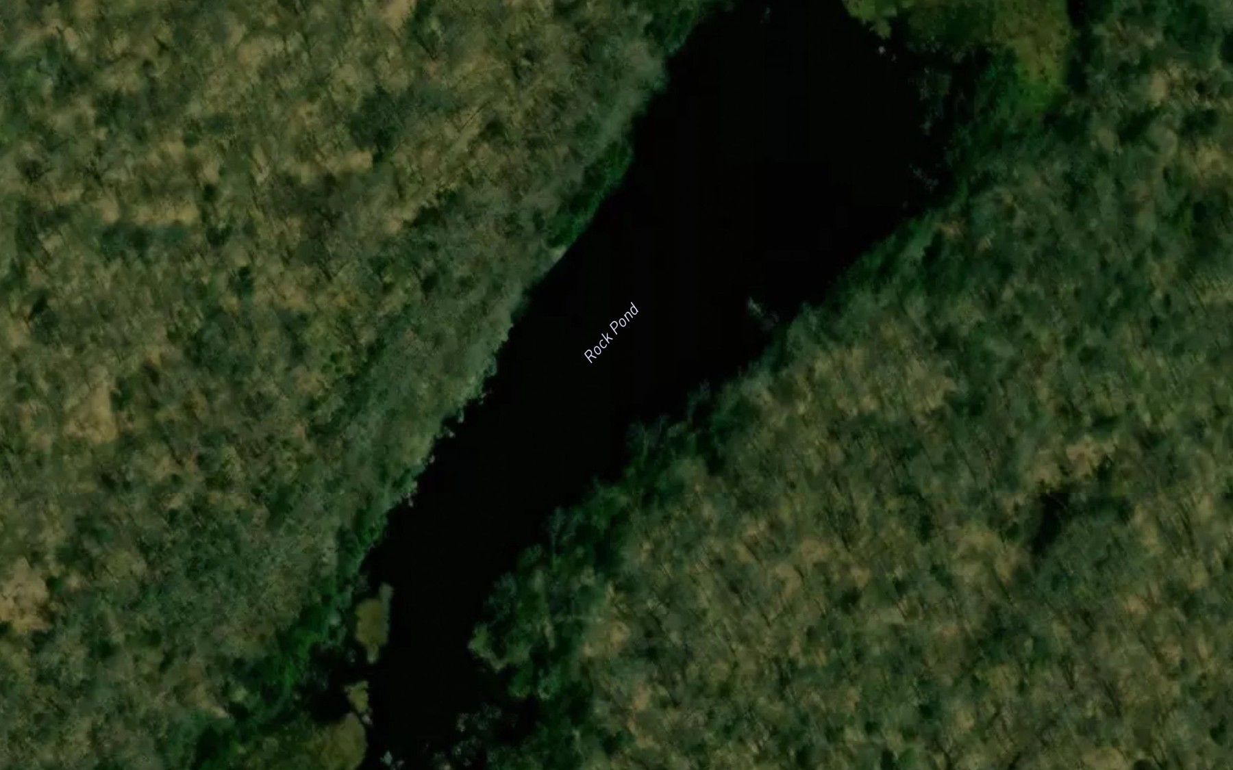 Rock Pond Fishing near Boonville | Fishbox