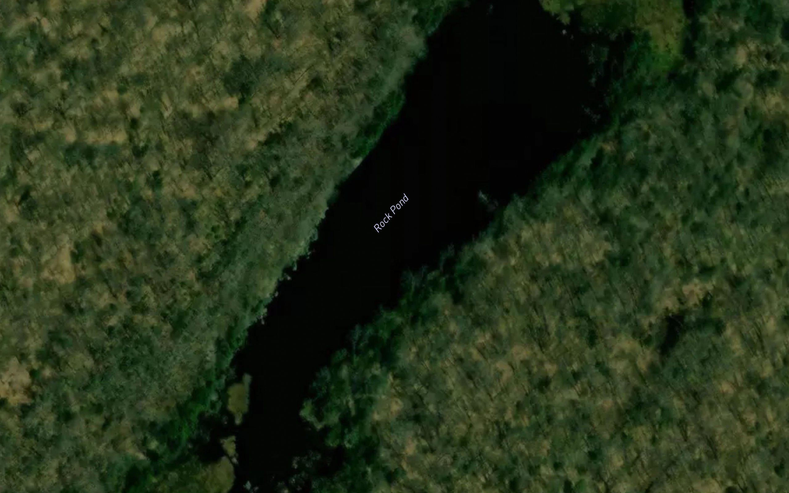 Rock Pond