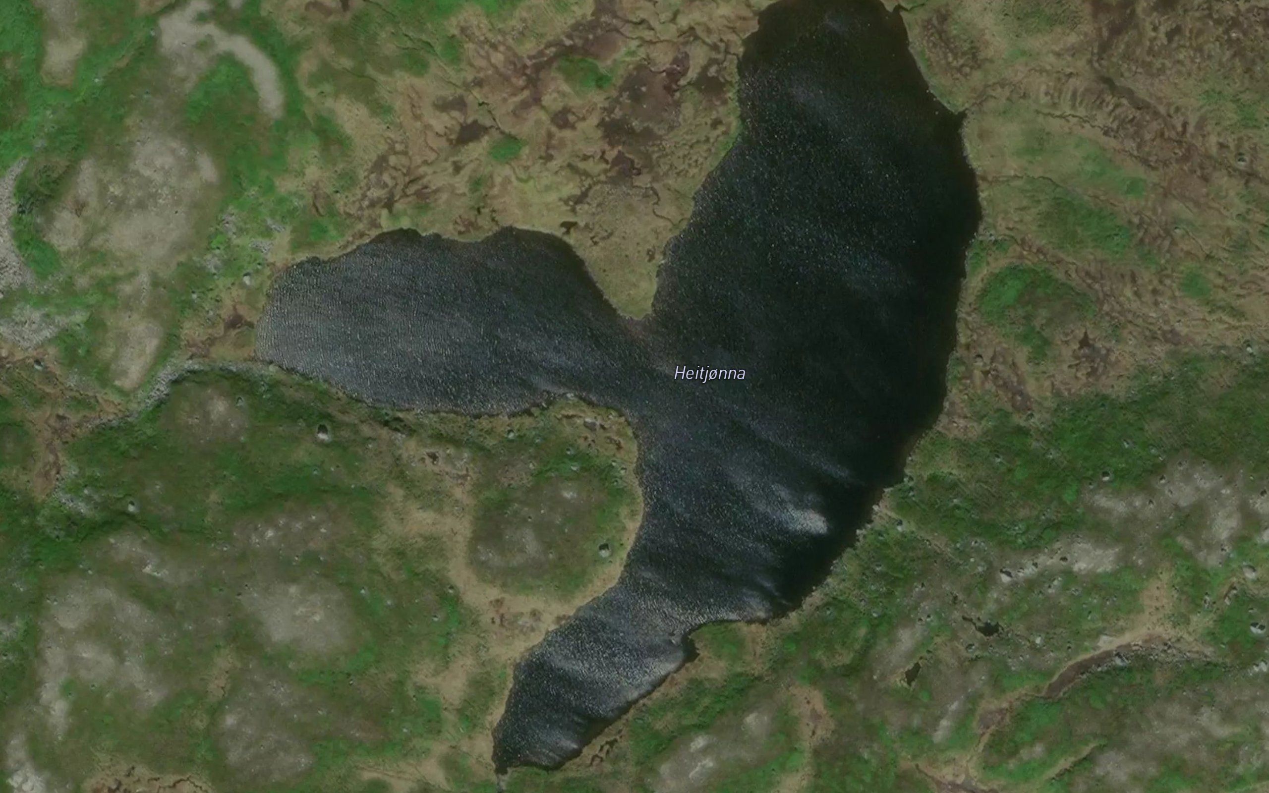 Heitjorna