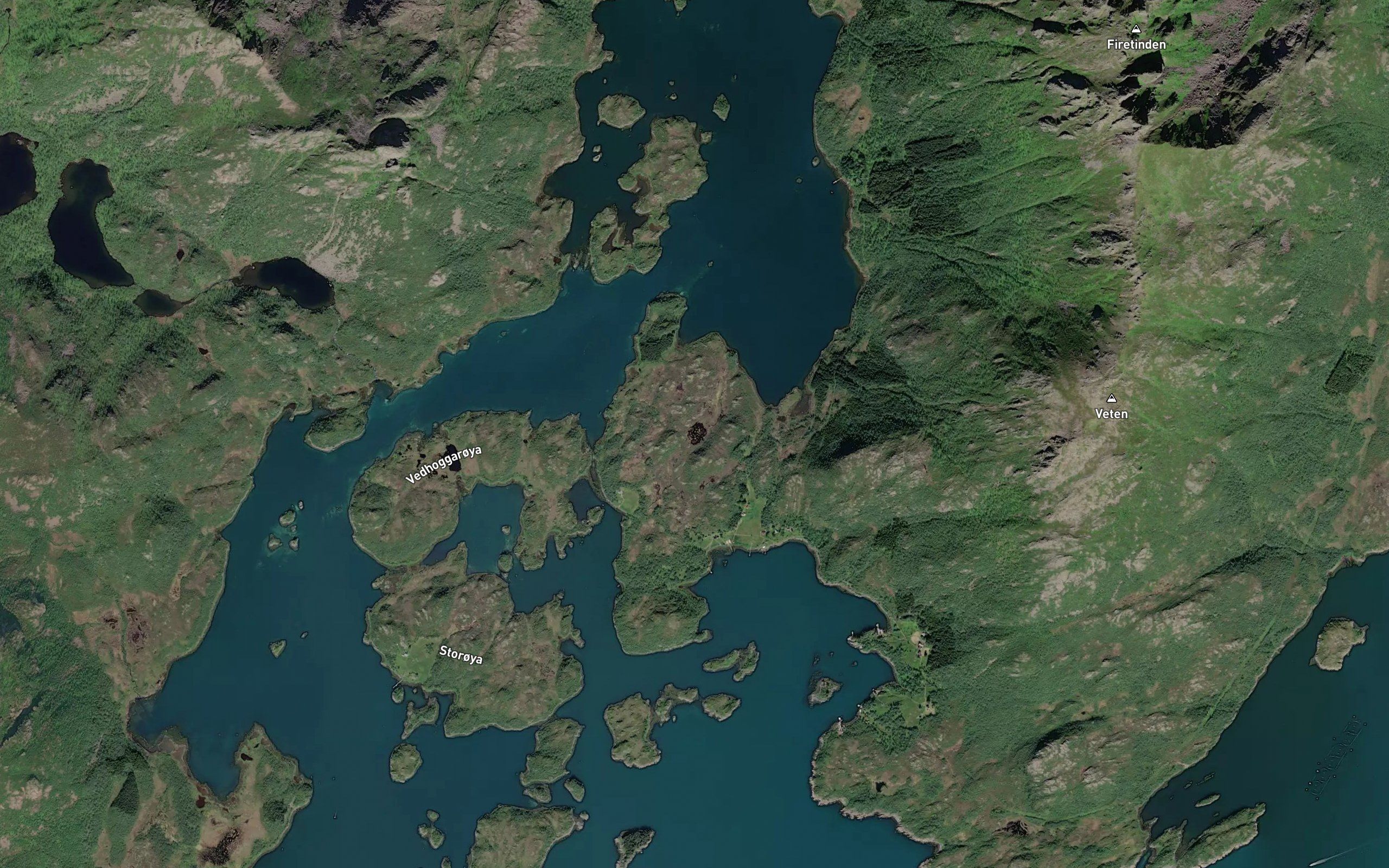Lomstjernet