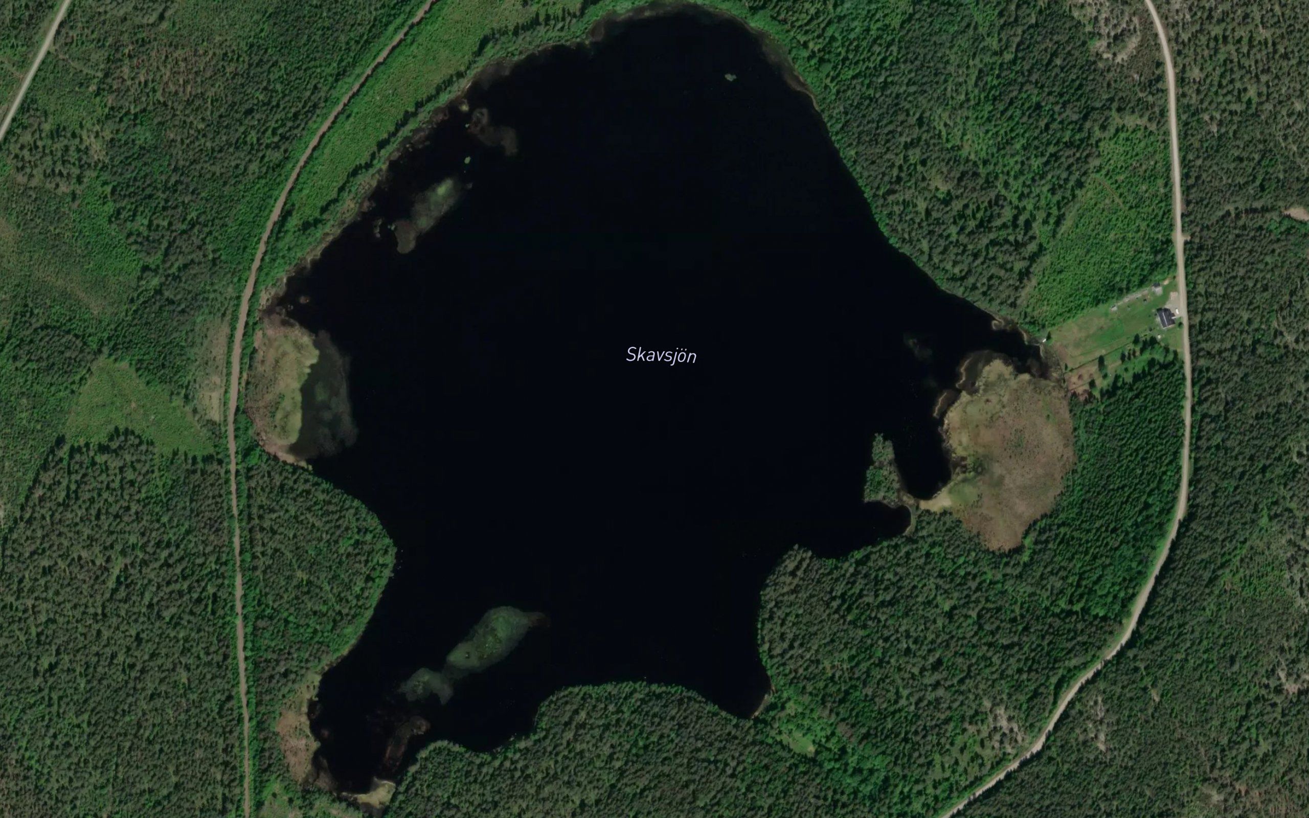 Skavsjoen