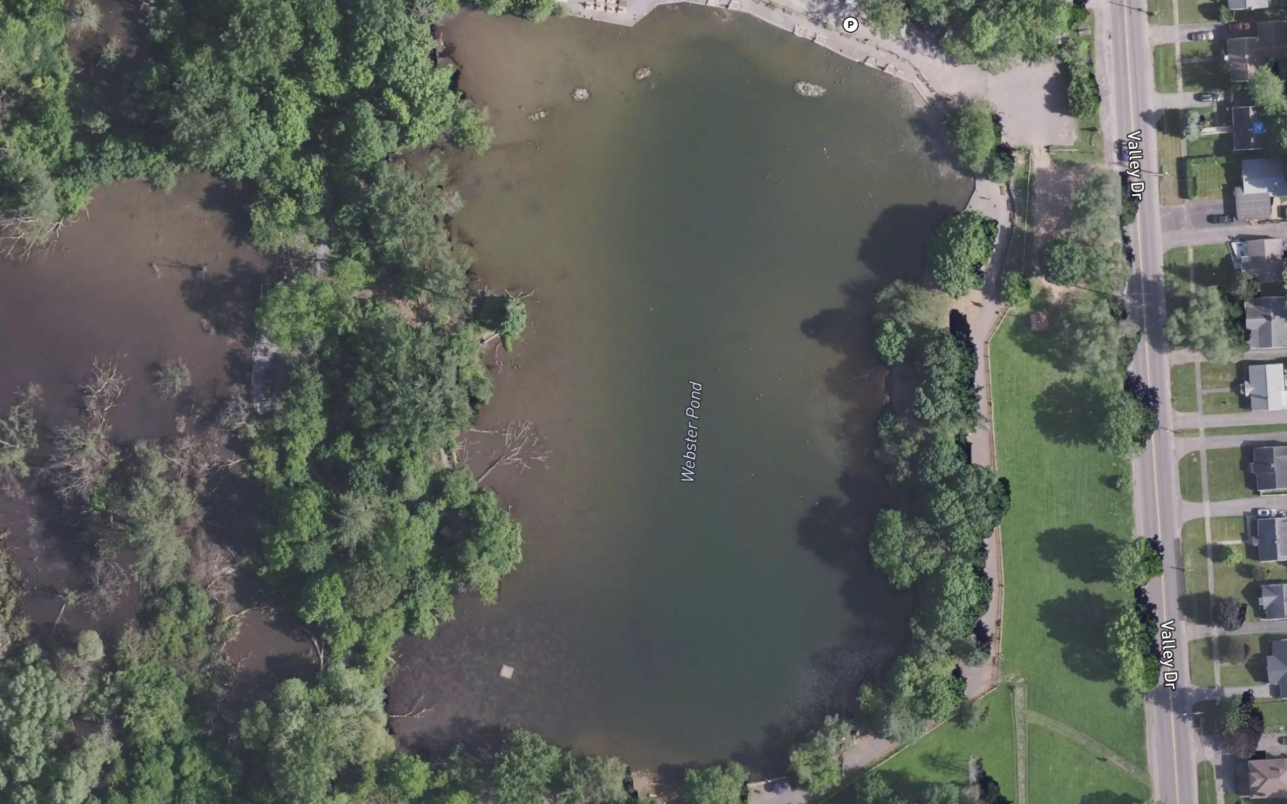 Webster Pond