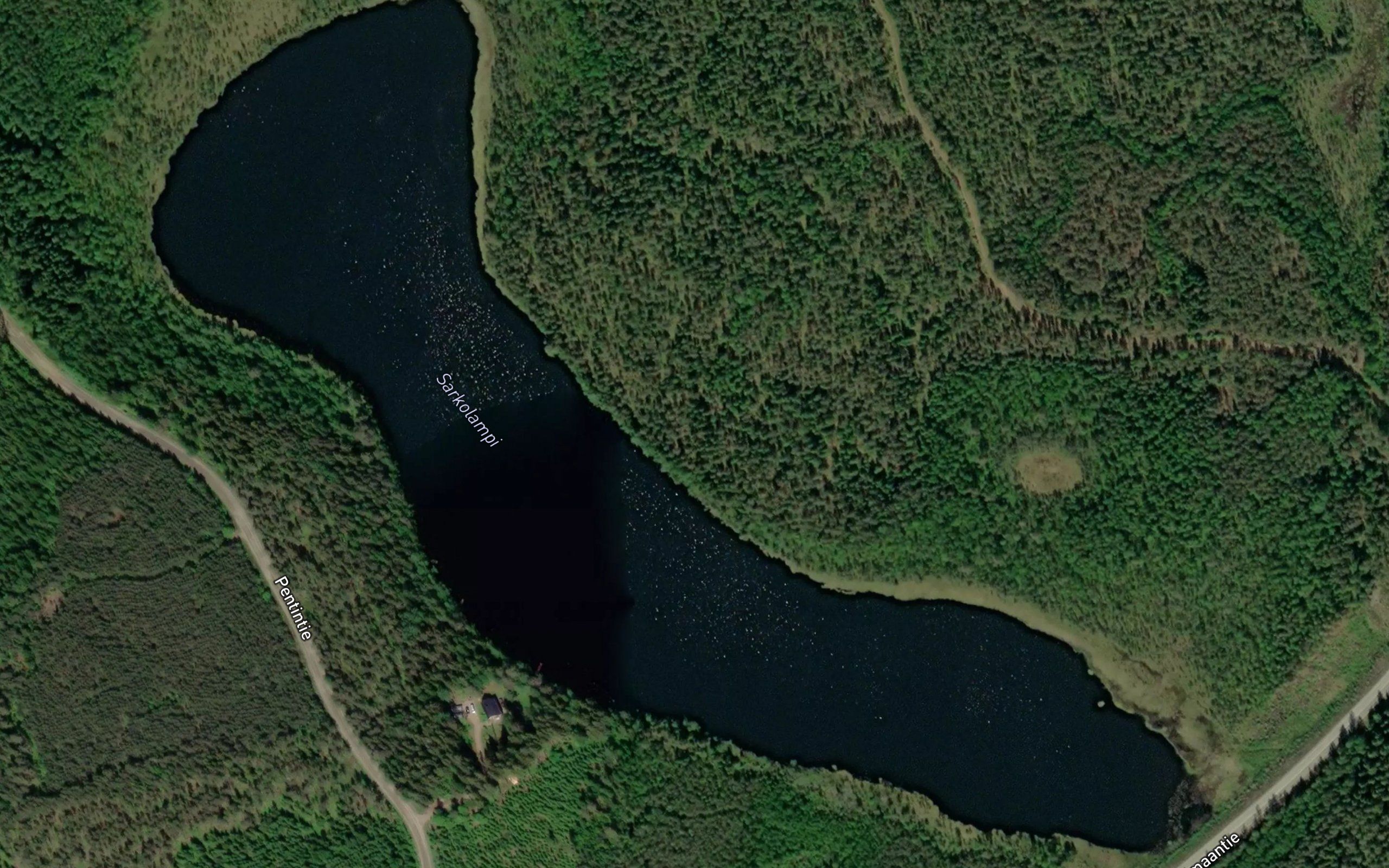 Sarkolampi