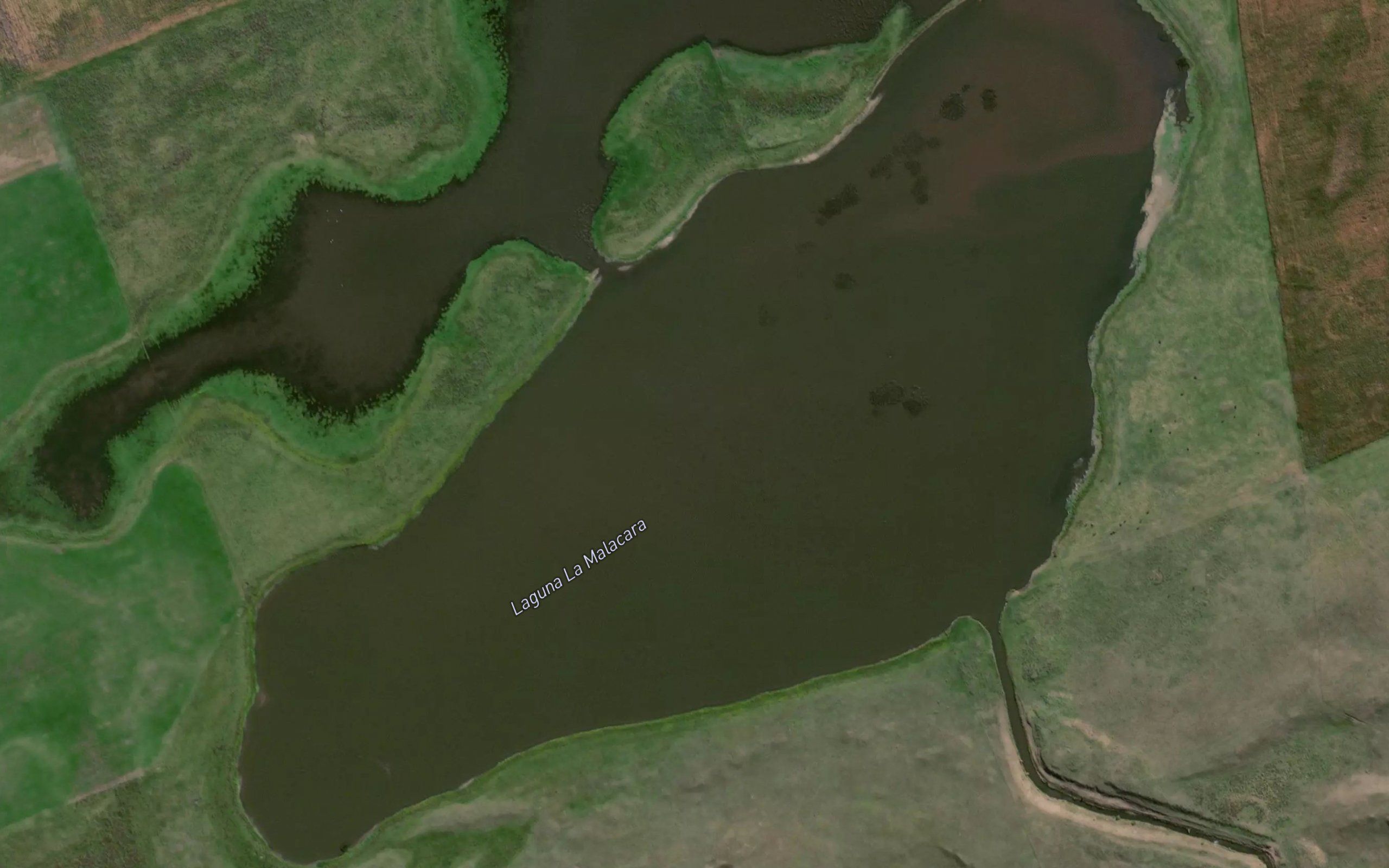 Laguna La Malacara