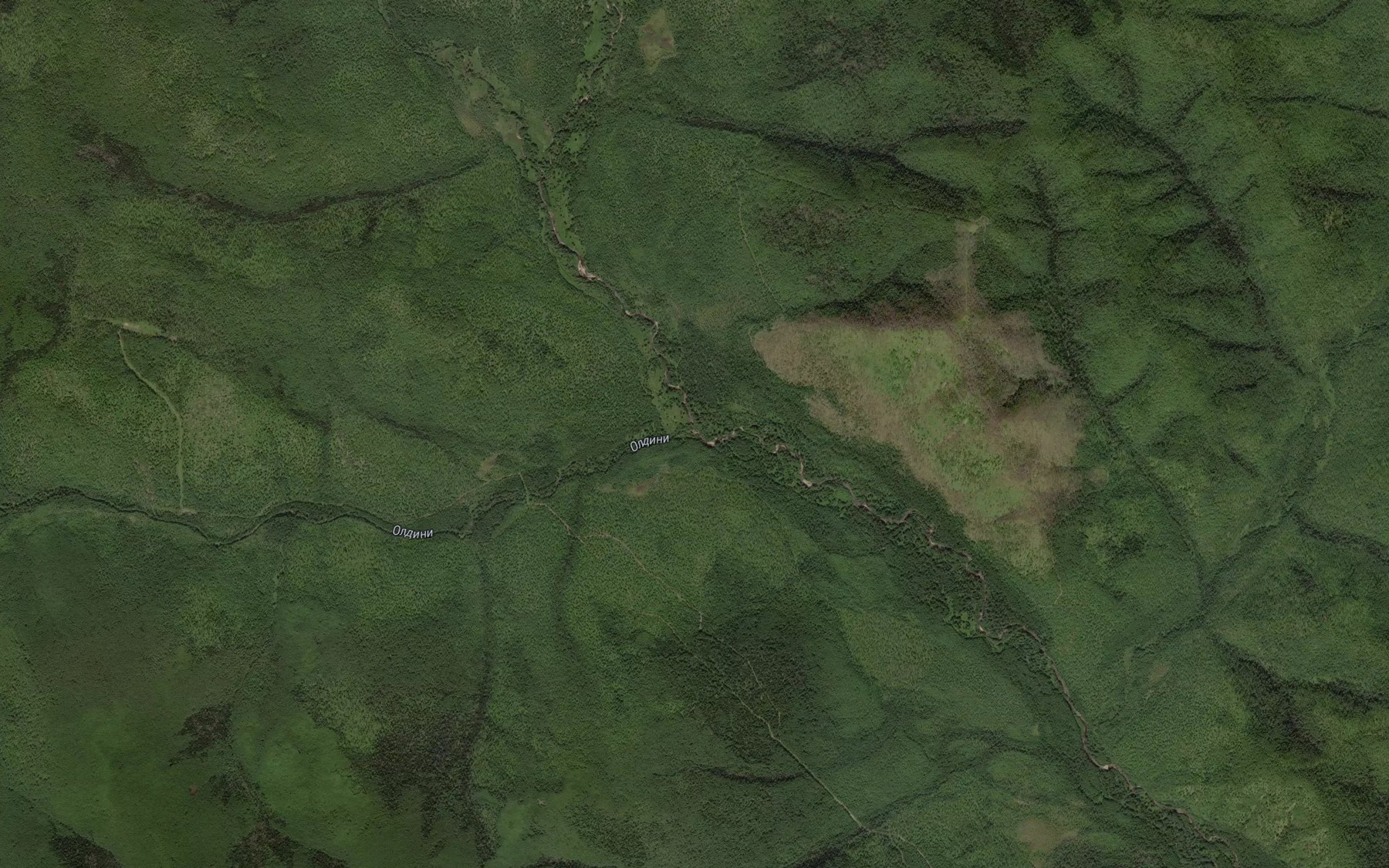 Satellite map of the Oldoni