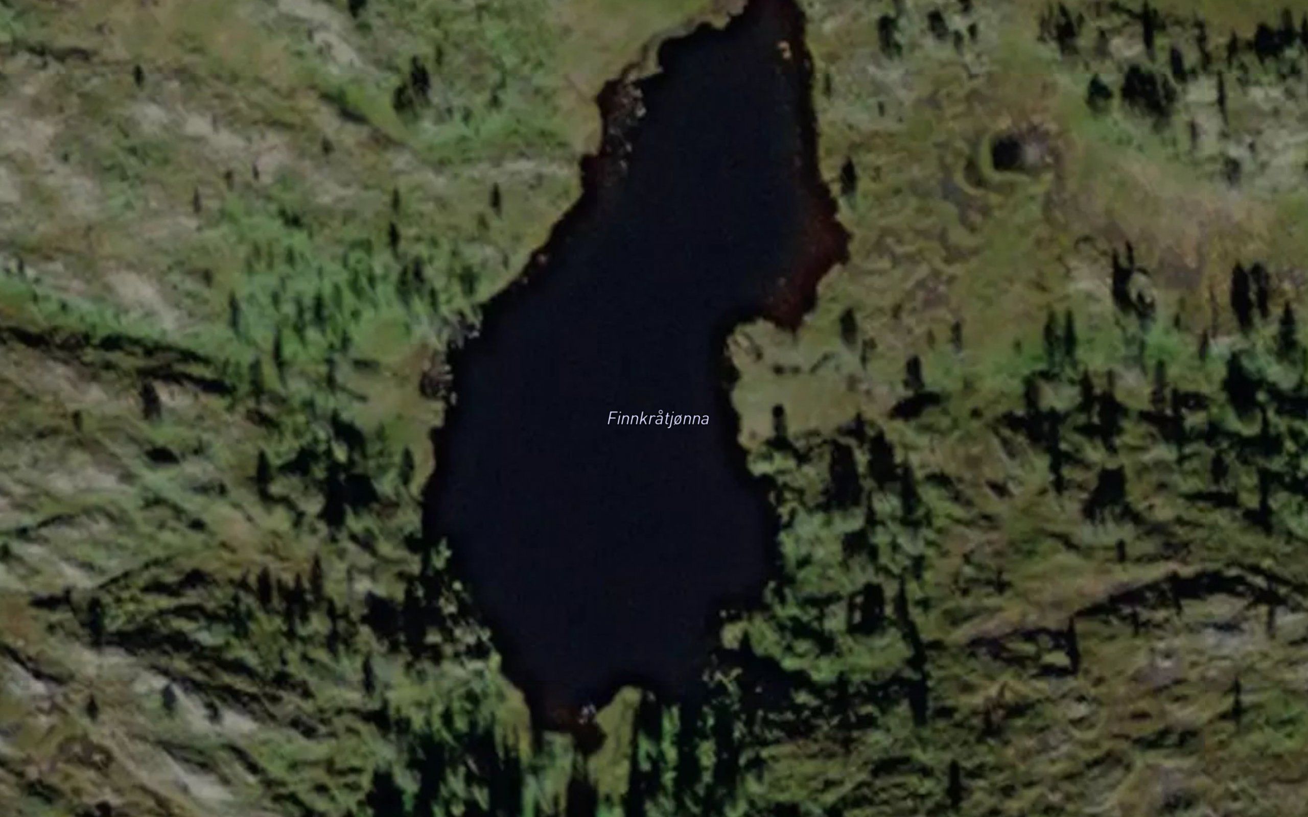 Finnkratjorna