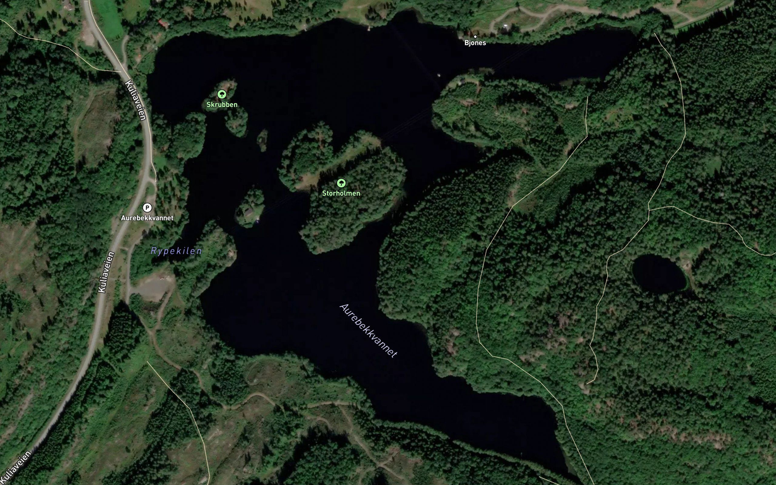 Aurebekkvannet