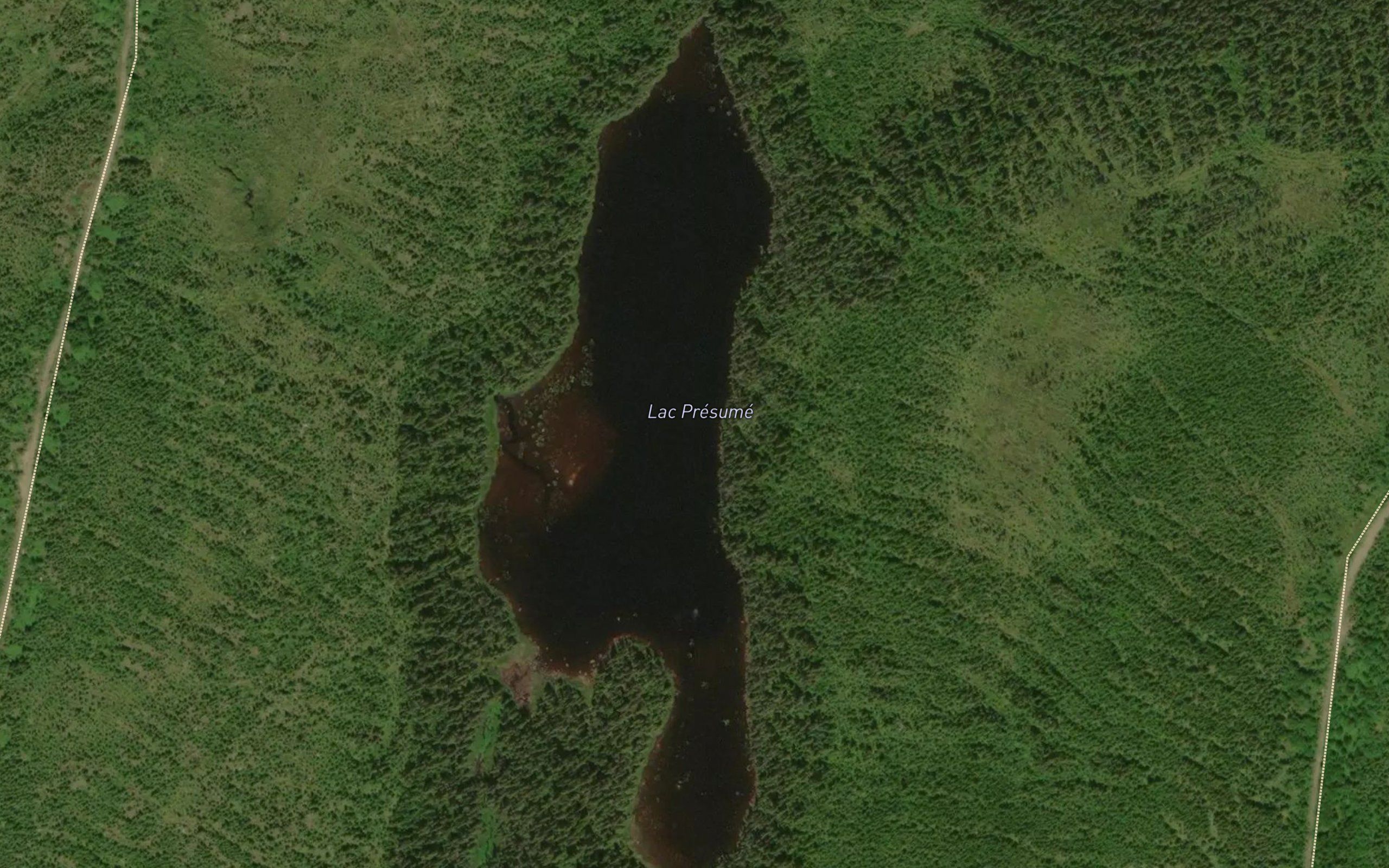 Lac Presume