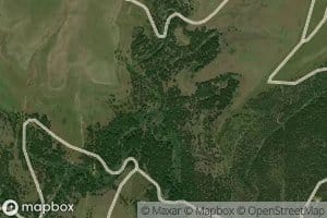 Wild Hog Creek