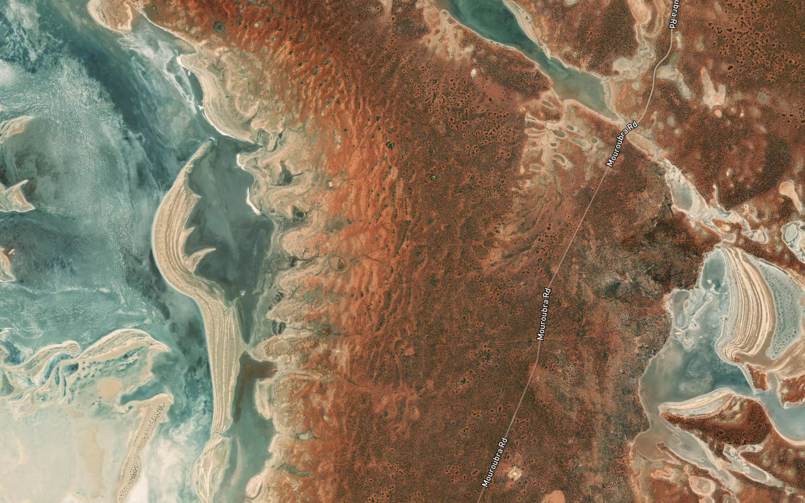 Bunnar Spring