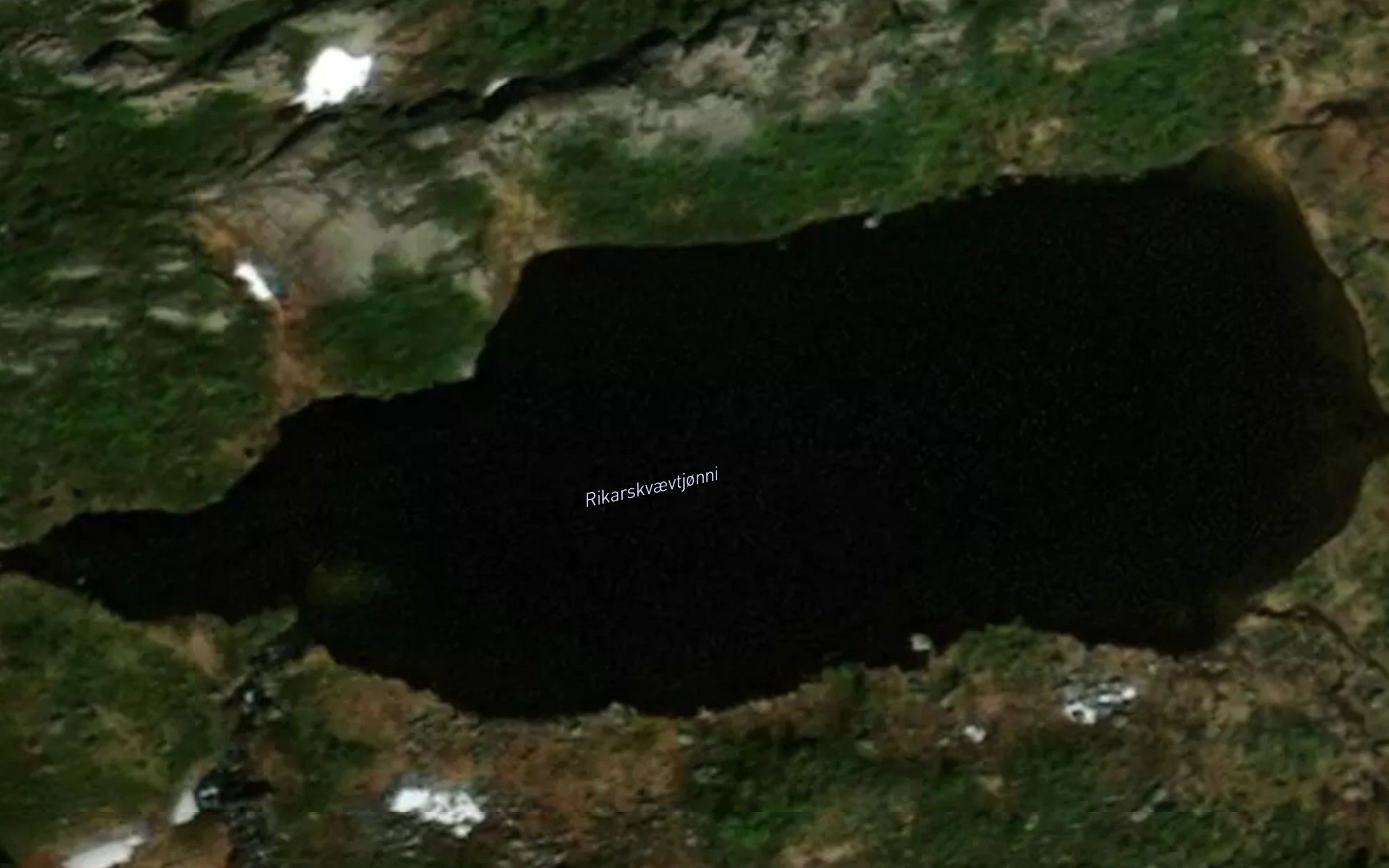 Rikarskvaevtjonni