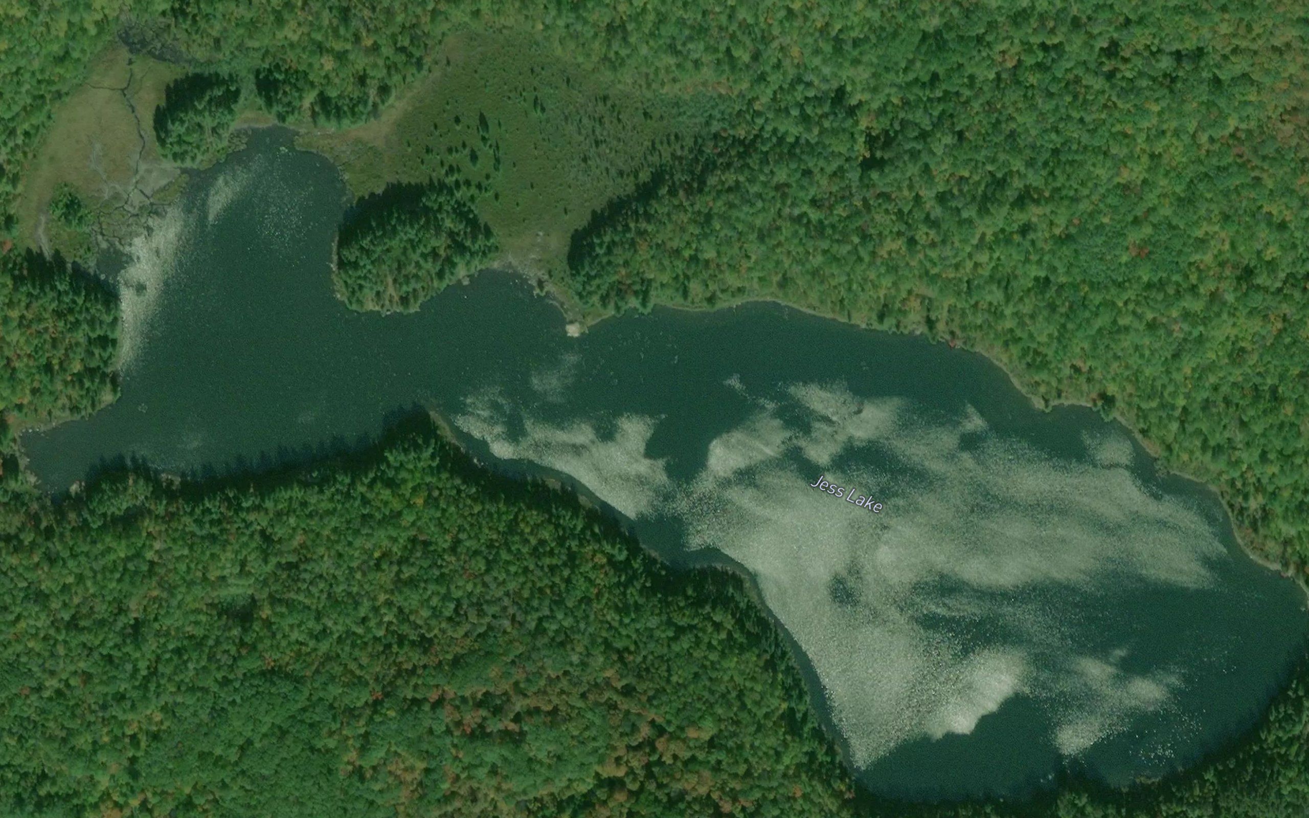Jess Lake
