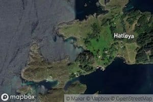 Skjavika