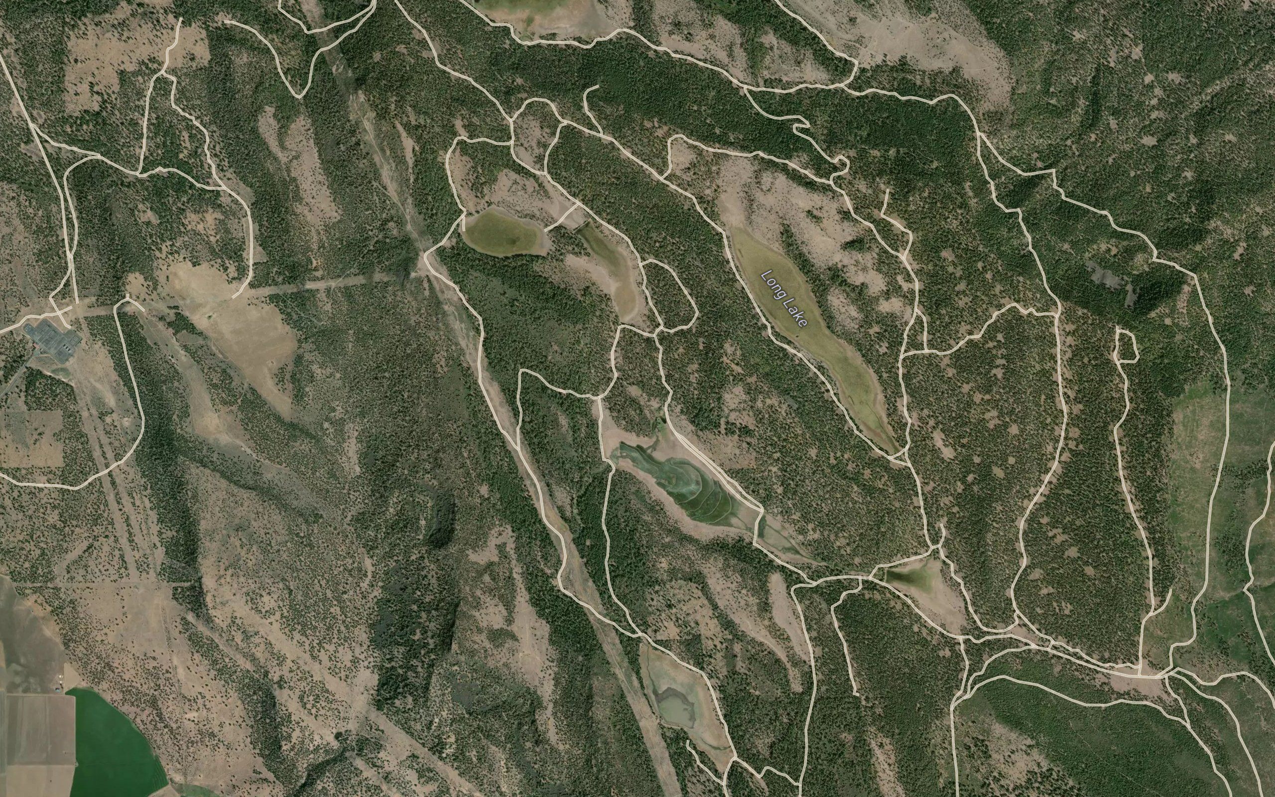 McCoy Spring