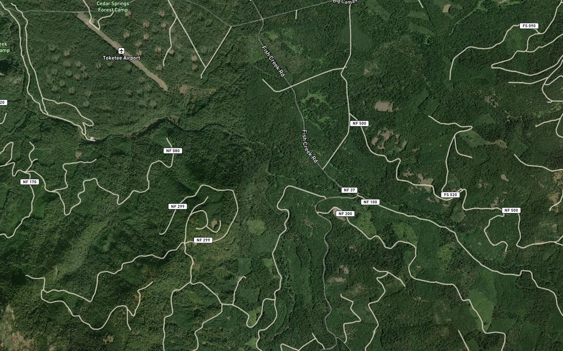 Satellite map of the Rough Creek