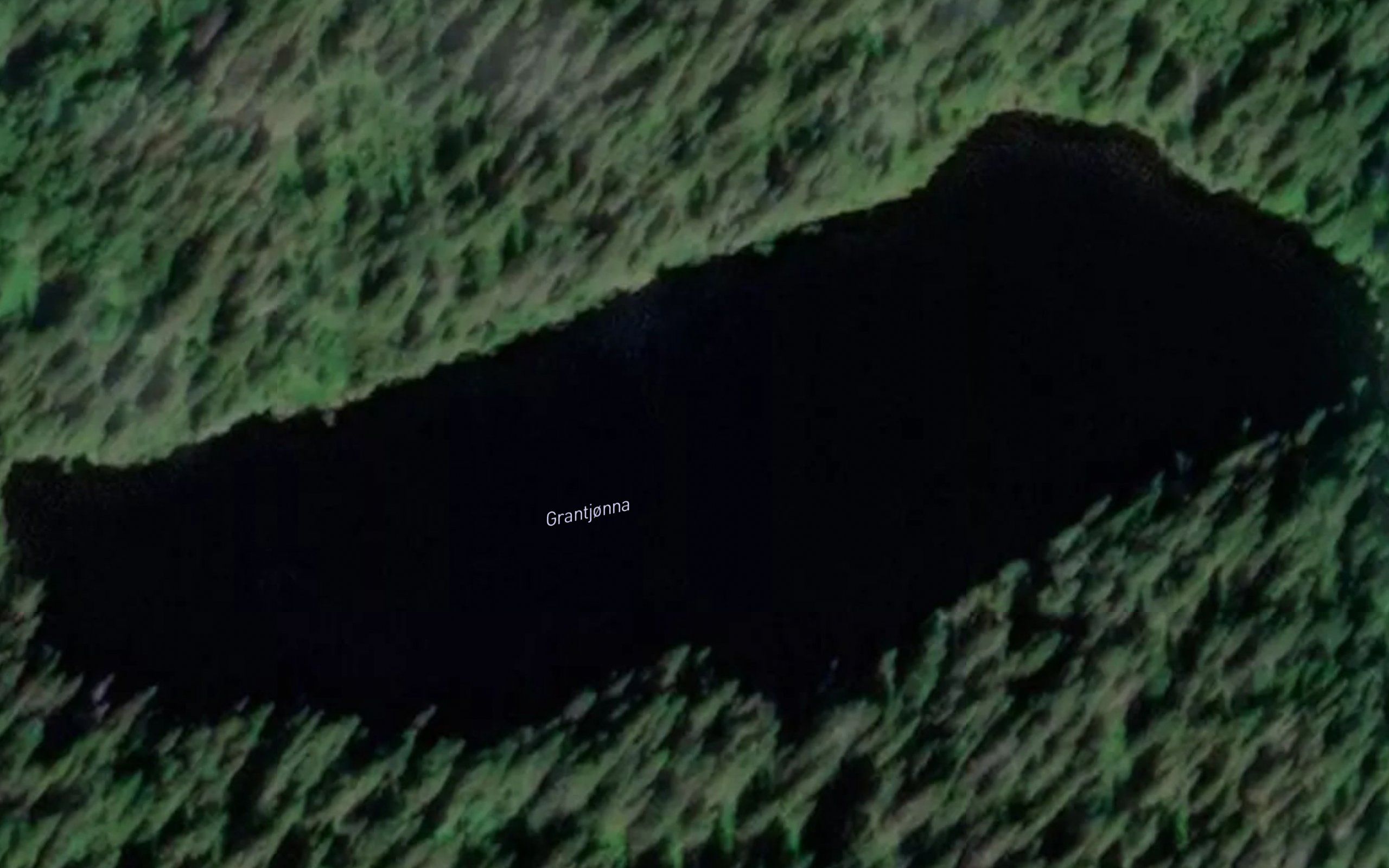Grantjorna