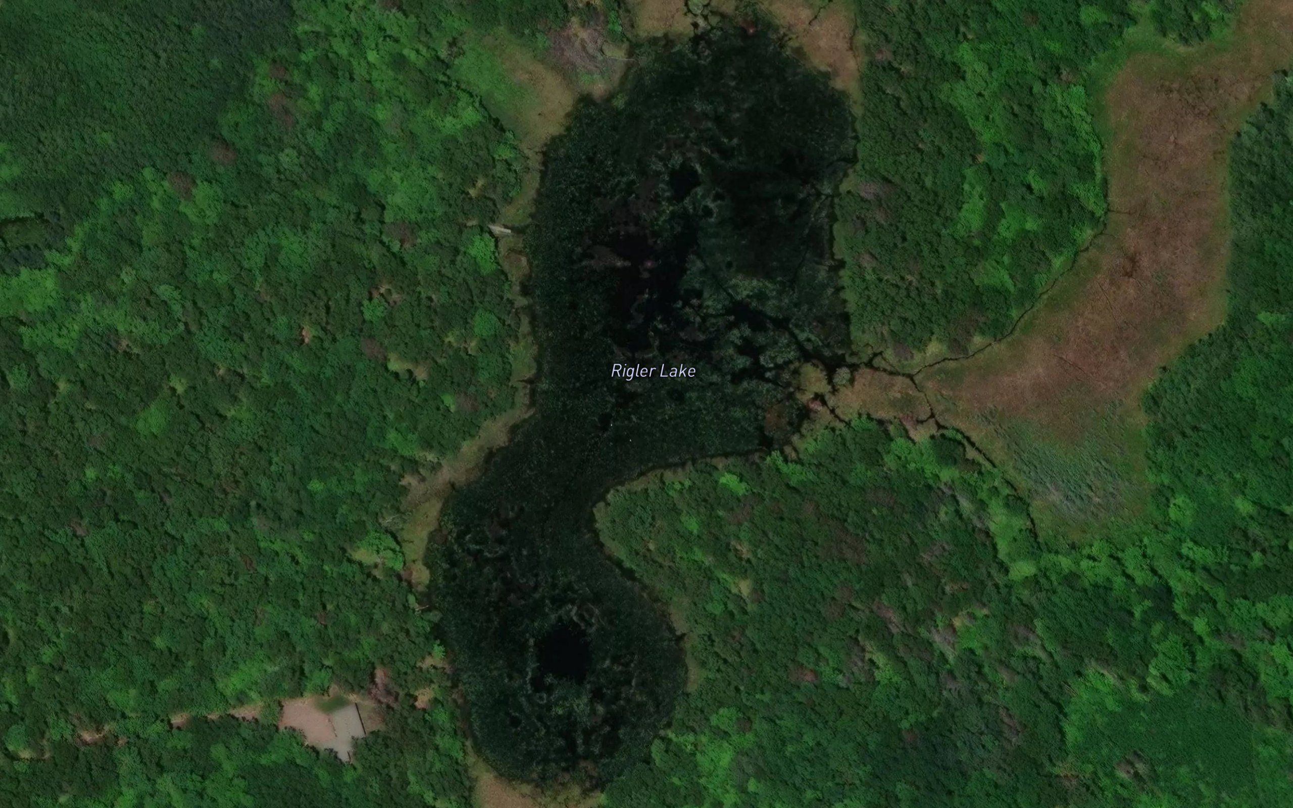 Rigler Lake