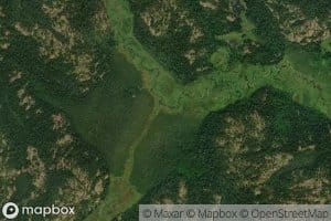 Bernard Creek