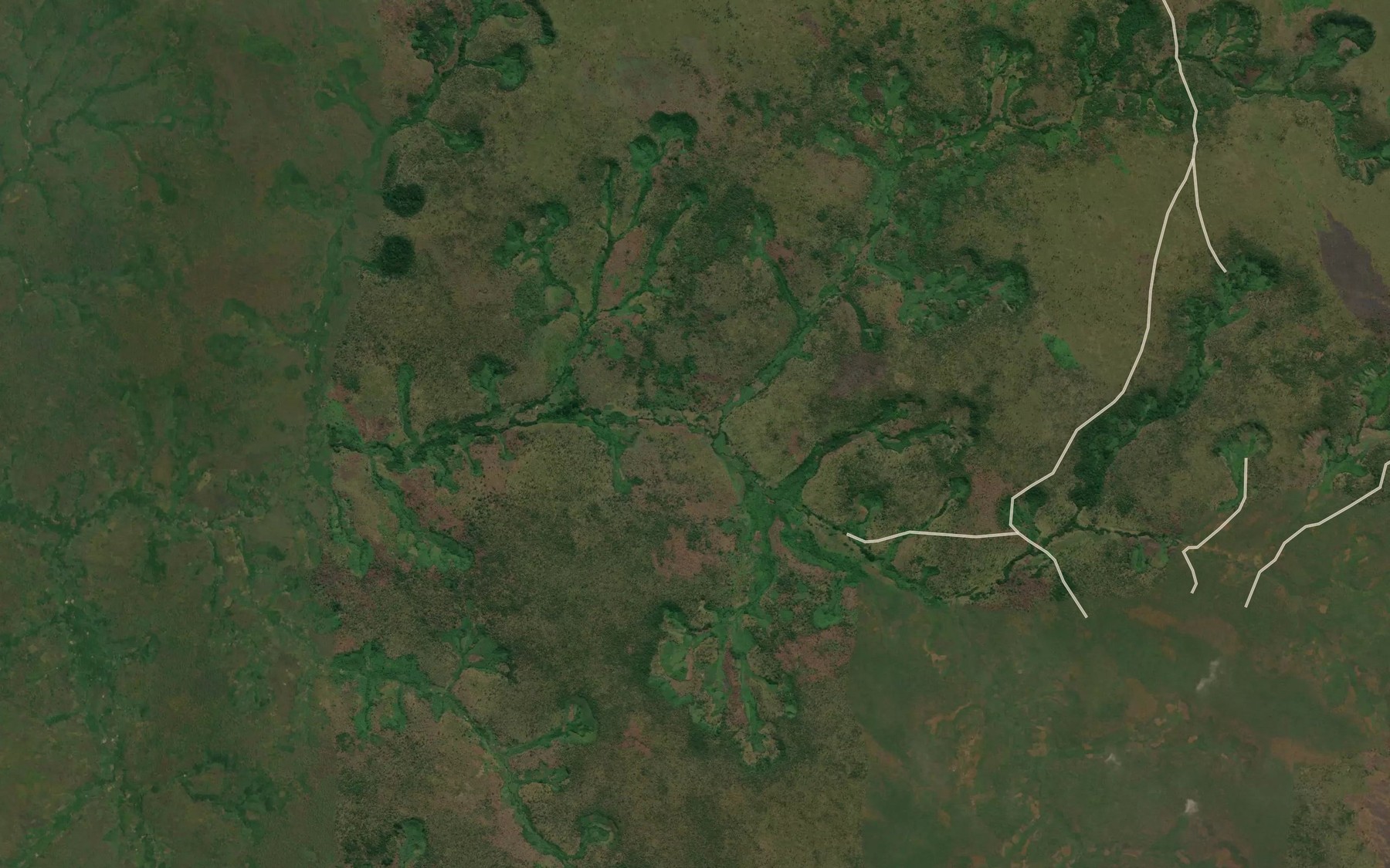 Satellite map of the Likongo