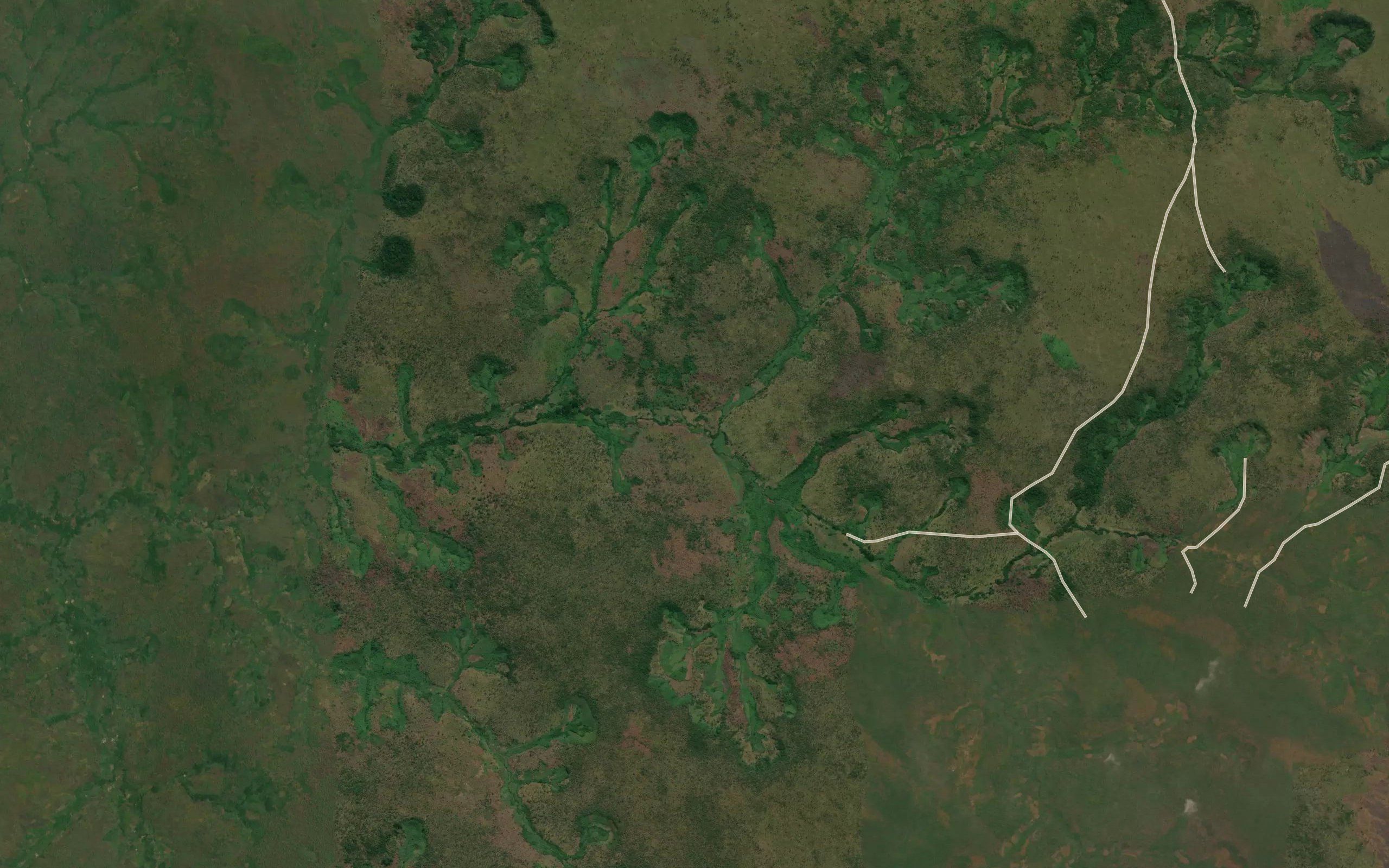 Likongo