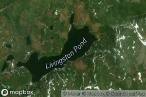 Livingston Pond