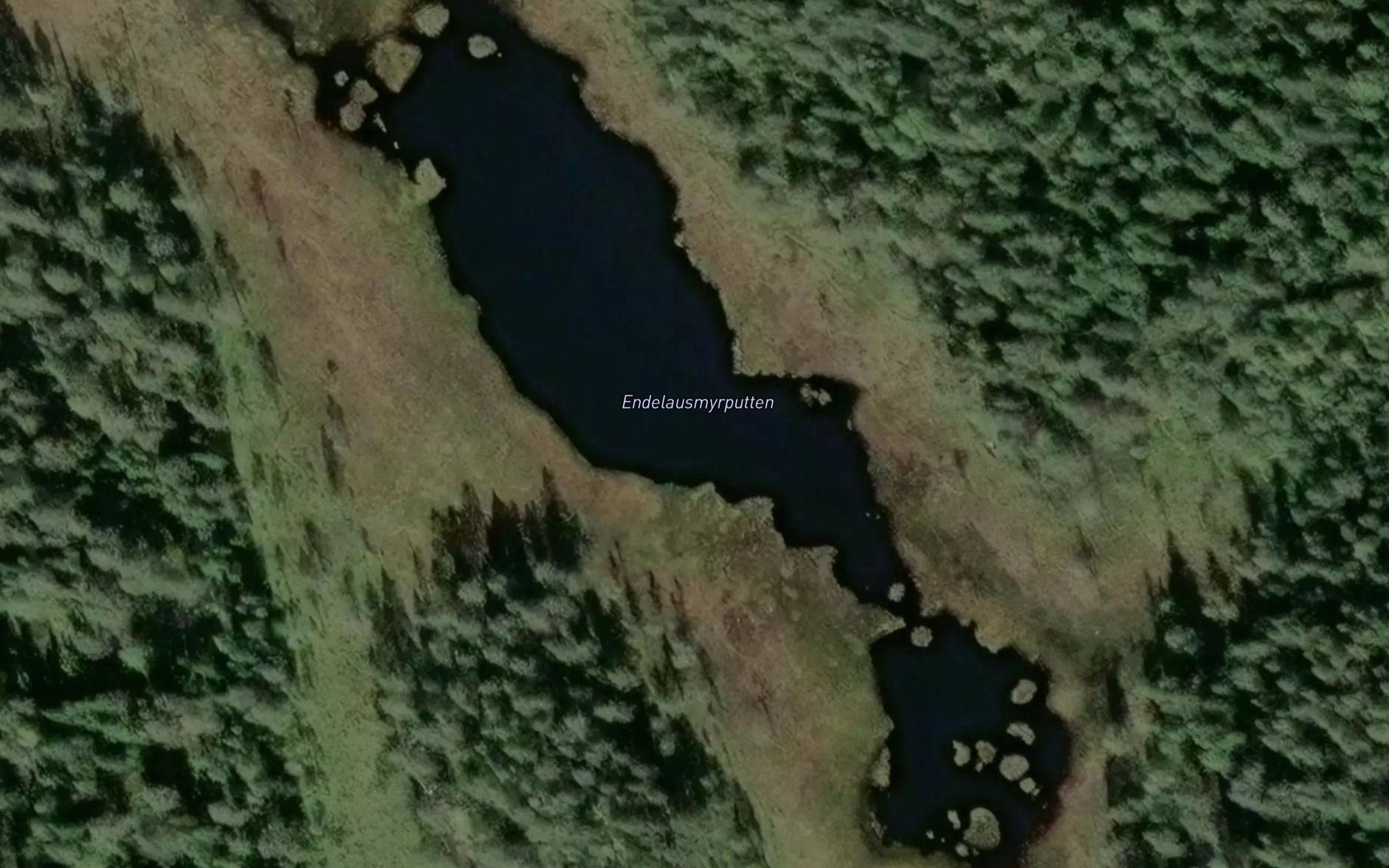 Endelausmyrputten