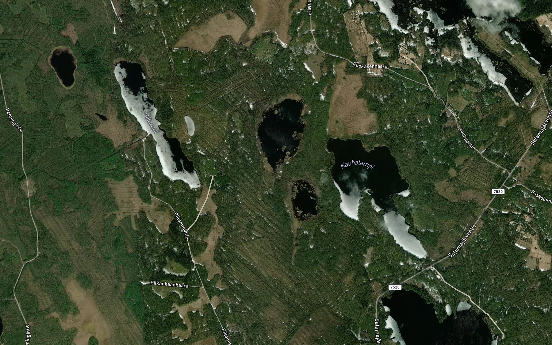 Satellite map of the Kauhapuro