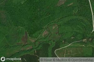 Congaree Spring Branch