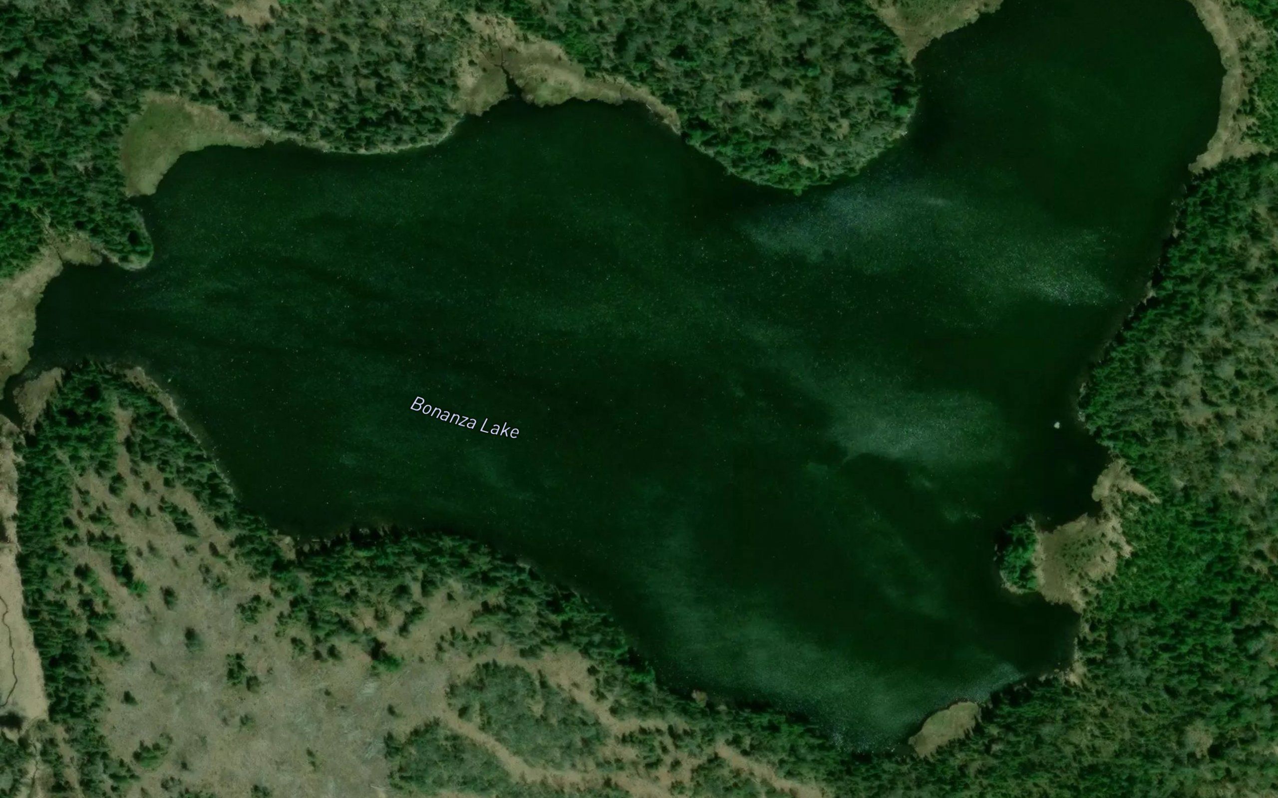 Bonanza Lake