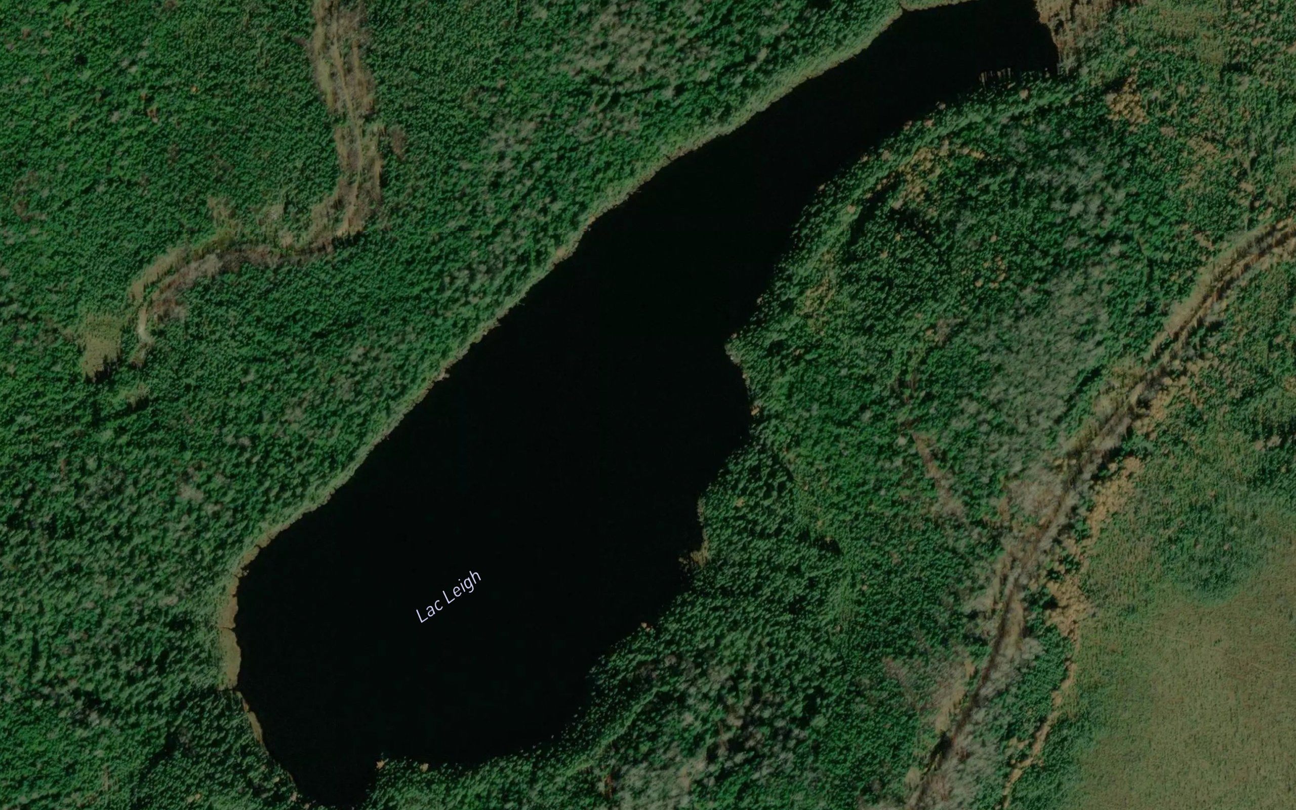 Lac Leigh