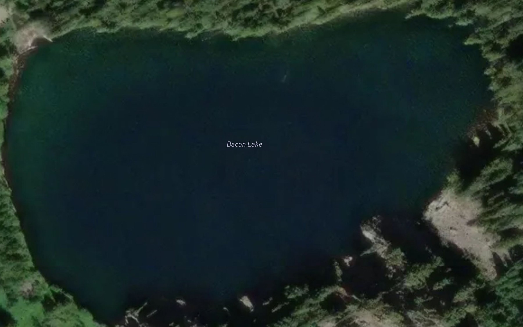 Satellite map of the Bacon Lake