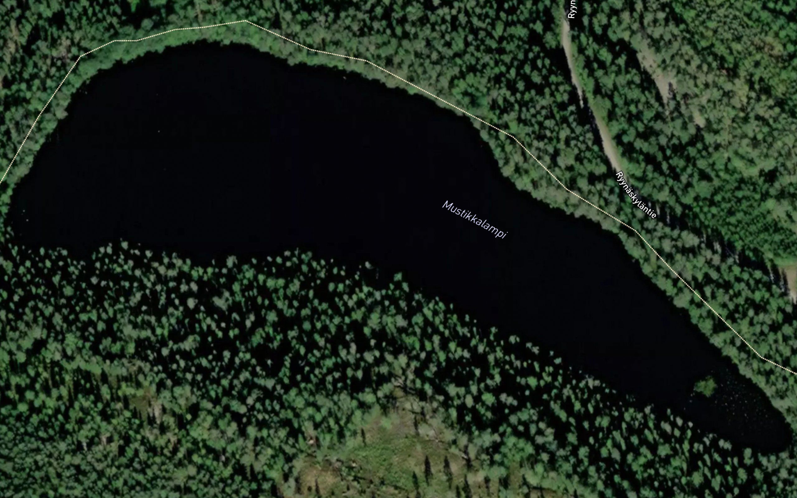 Mustikkalampi