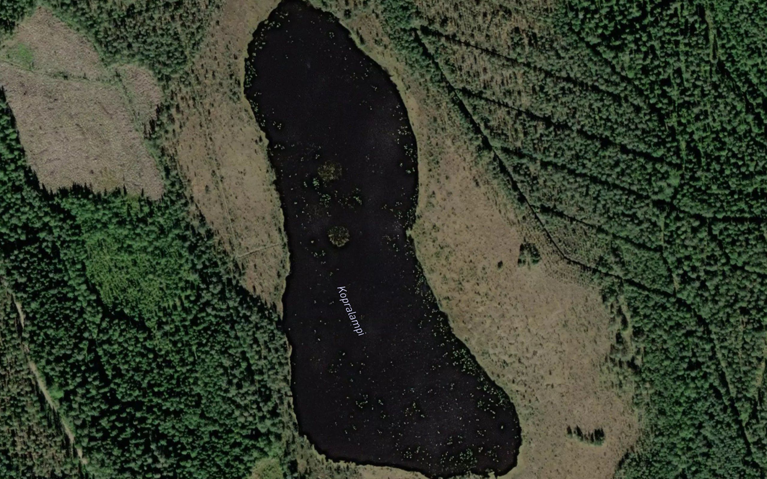 Kopralampi