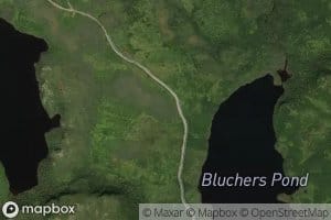 Bluchers Pond