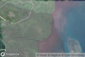 Wainivou